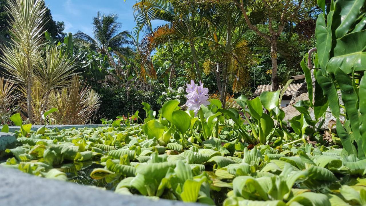 Pousada Tubarao Porto Seguro Luaran gambar